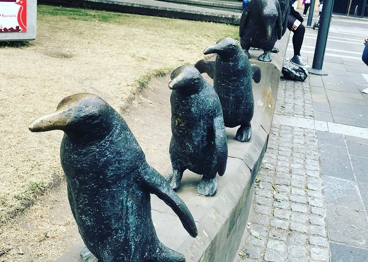 penguins