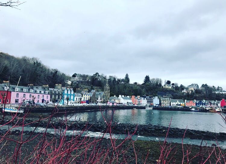 tobermory houses